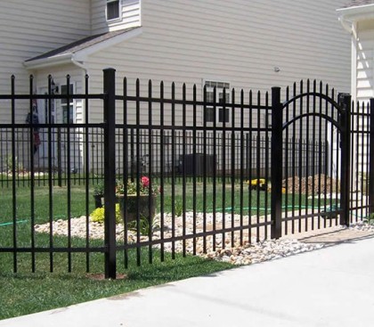Image for FENCINGS